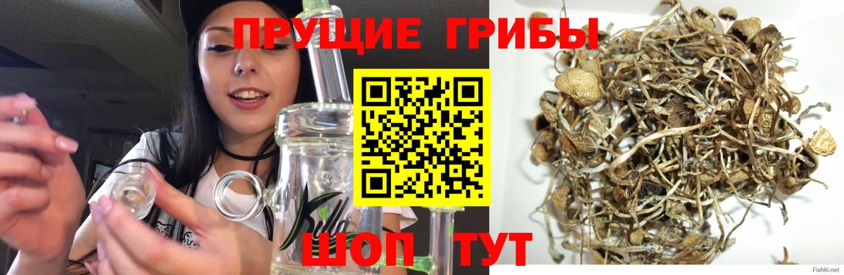 Псилоцибиновые грибы мицелий  Вход с VPN  Псилоцибиновые грибы Psilocybe  Верхняя Салда 